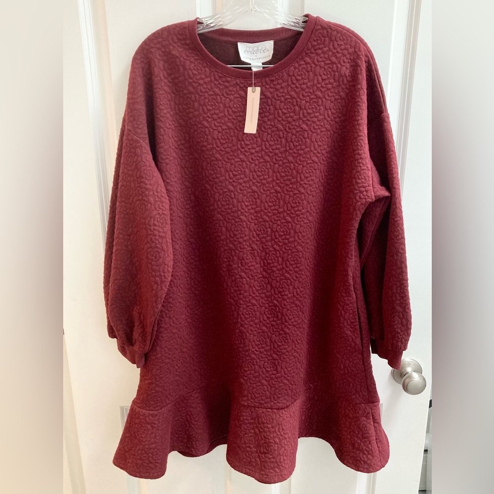 Anthropologie Embroidered Sweater Dress